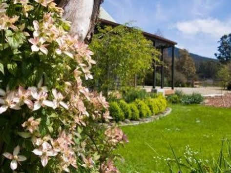 Parnella Kettering Lägenhet Exteriör bild